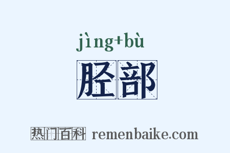 胫部是什么意思的图片